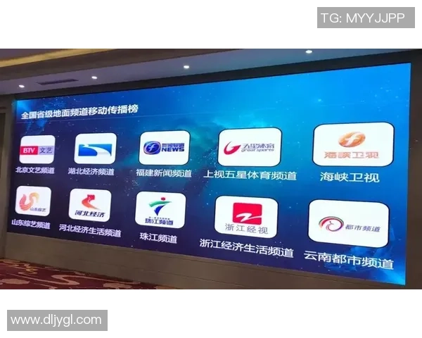 上海排球队选拔赛特别报道：探索转型之路与未来发展新方向