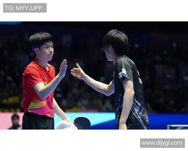 乒乓球专题：深入探讨杭州乒乓球队默契配合与战术协作的成功之道