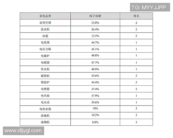 广州篮球队耐力分析与训练策略的深度探讨与展望