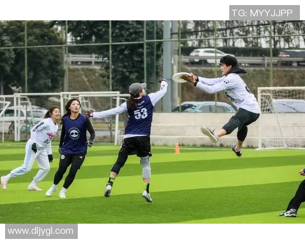 成都飞盘队成长纪实：从初学者到竞技高手的奋斗历程